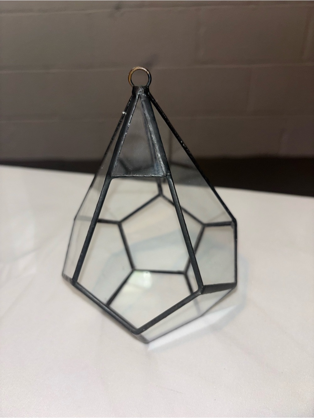Glass Geometric Hanging Terrarium - Black Frame